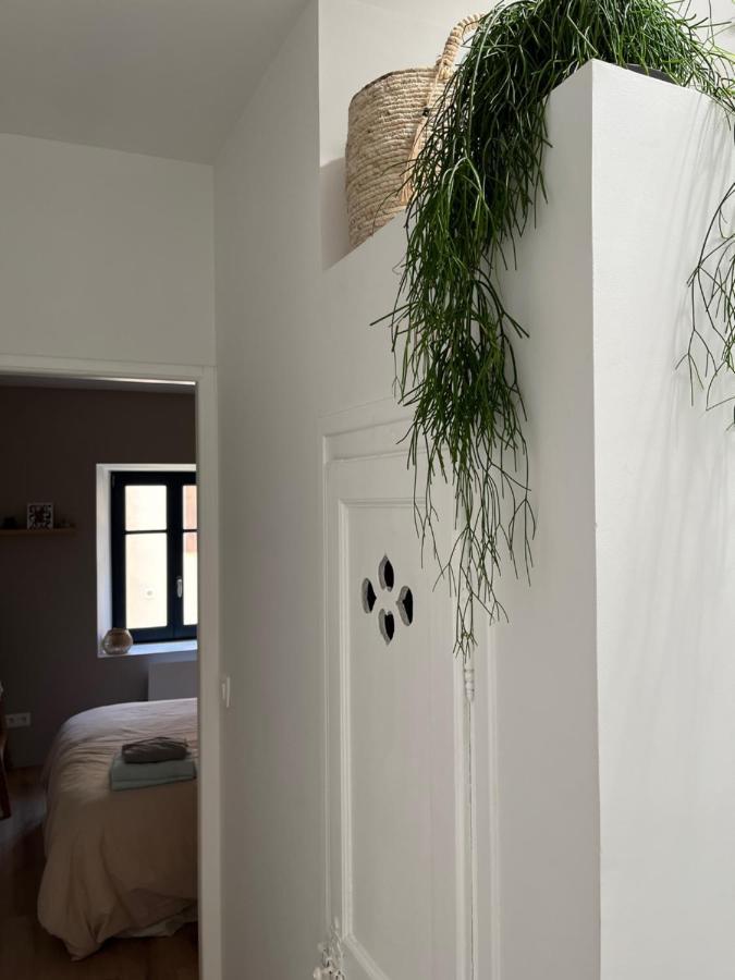 Maison Petite Cote Carcassonne Dış mekan fotoğraf