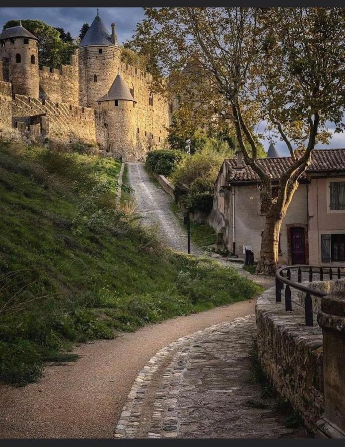 Maison Petite Cote Carcassonne Dış mekan fotoğraf