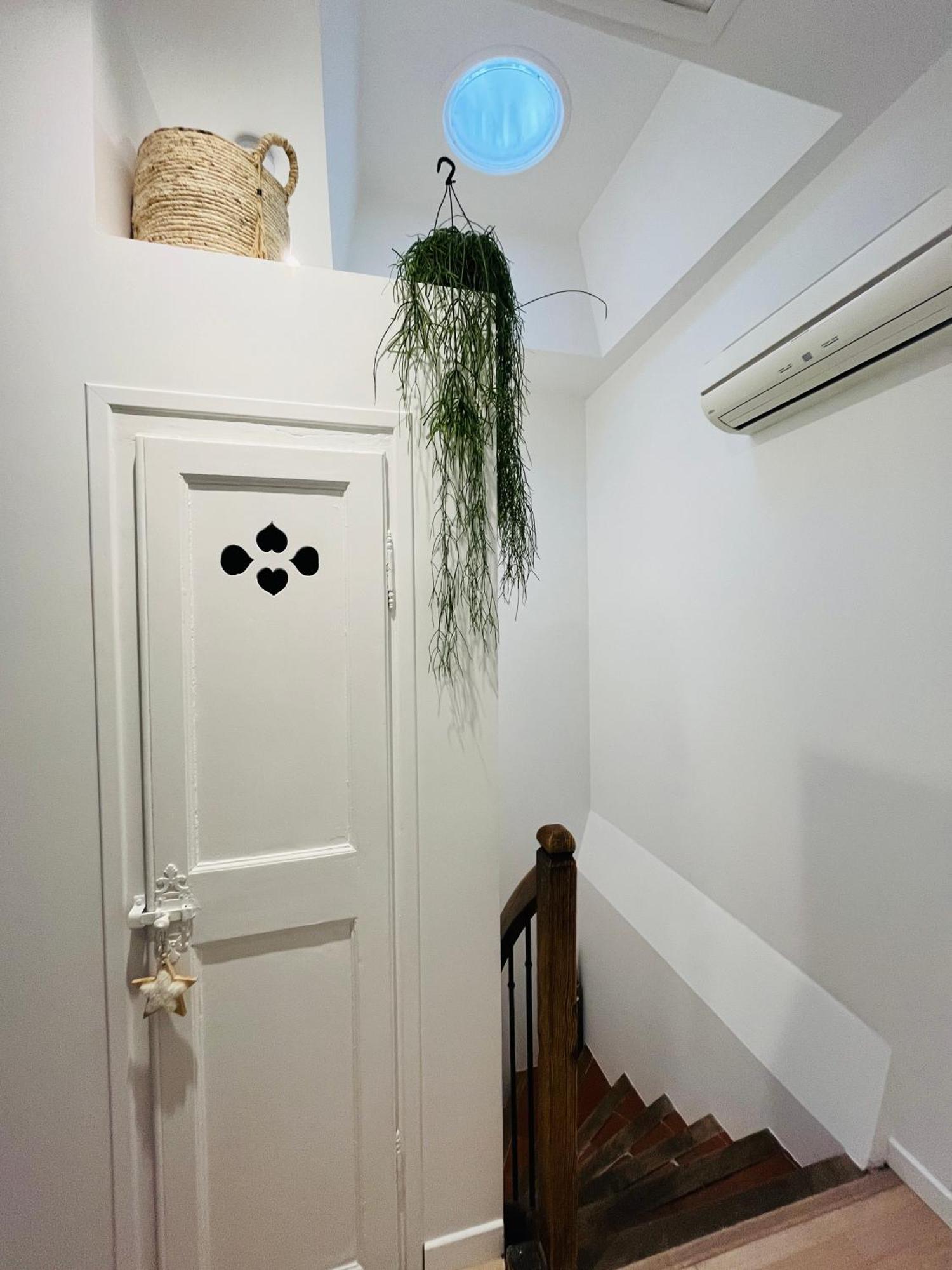 Maison Petite Cote Carcassonne Dış mekan fotoğraf